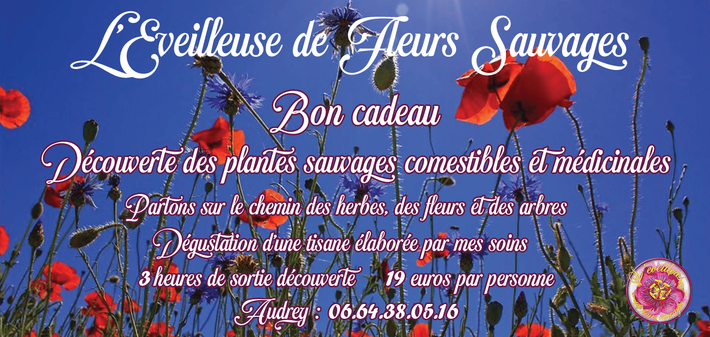 Bon cadeau Découverte Plantes